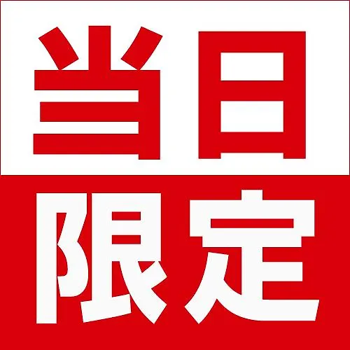 相鉄フレッサイン 藤沢駅南口 藤沢市 3*,
